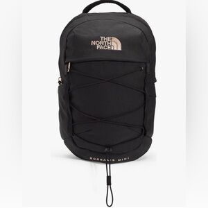 The North Face 10L Mini Borealis Laptop Backpack, black, like new